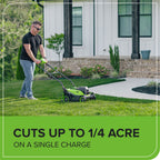 48V (24V x 2) 14" Cordless Battery Brushless Push Lawn Mower: (2) 4.0 Ah Battery and 2A Dual-port Charger, LM1412