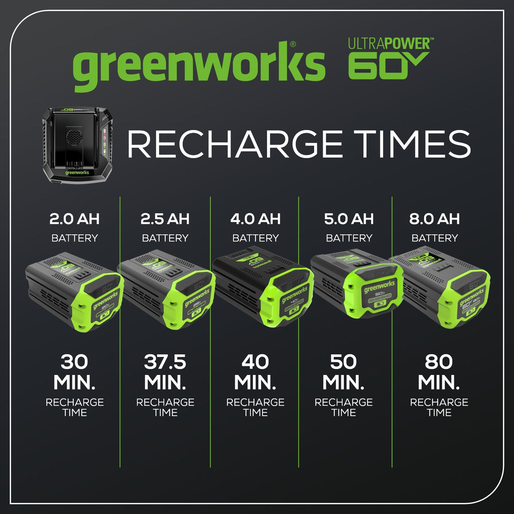 60V 6A UltraPower Rapid Battery Charger