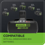 80V 8A Dual-Port Charger