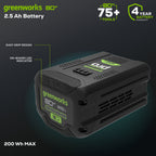 80V 2.5 Ah Lithium-Ion Battery