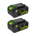24V PowerAll High Power 4.0 Ah Battery (2-Pack)