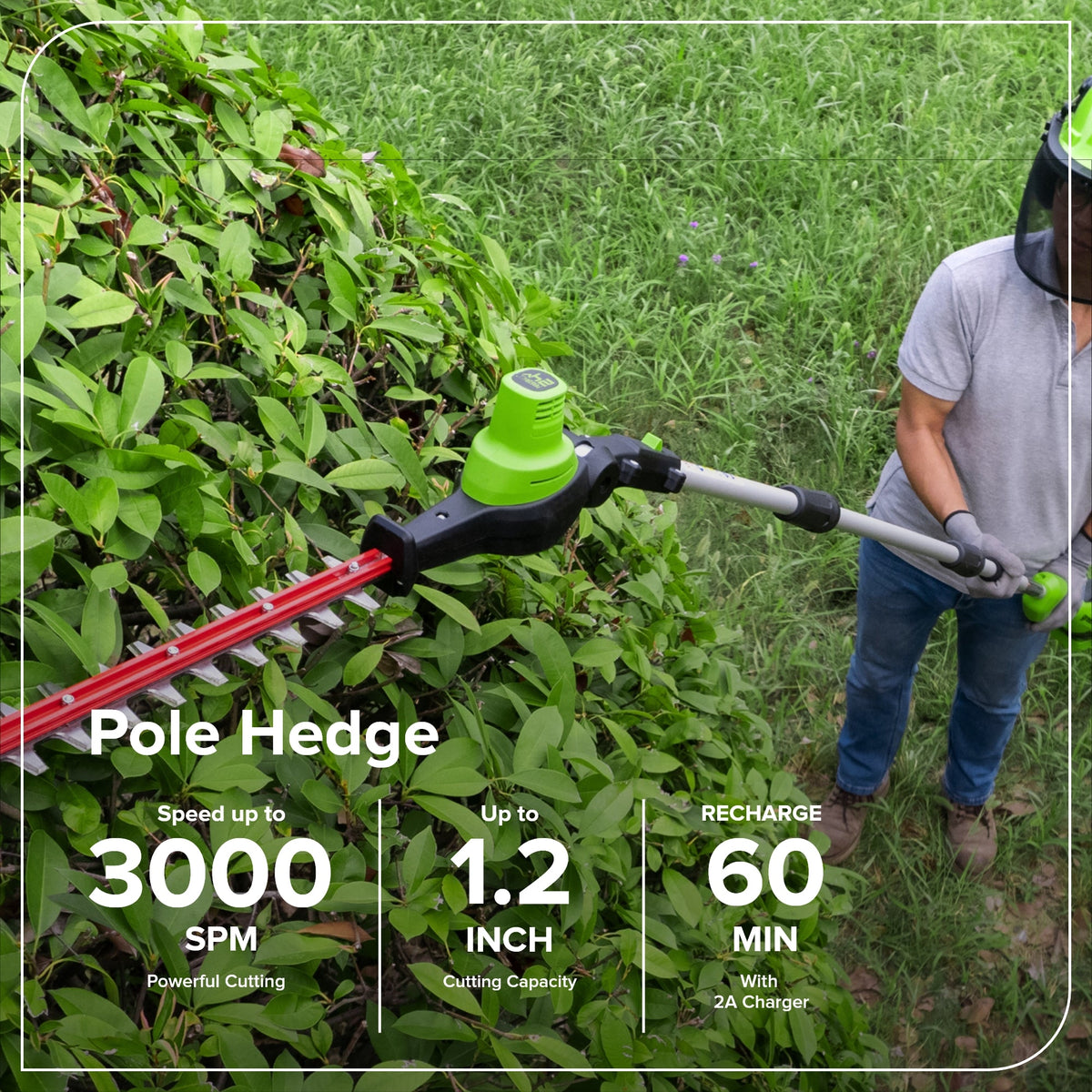 24V 8" Cordless Battery Pole Saw w/ 20" Hedge Trimmer Attachment Combo Kit: 2.0 Ah Battery & 30W Type-C Charger (3-Ft cable)