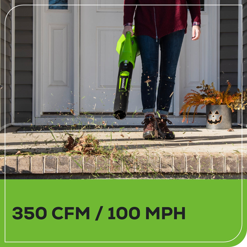 40V 350 CFM Cordless Battery Leaf Blower: 2.0 Ah Battery and Charger