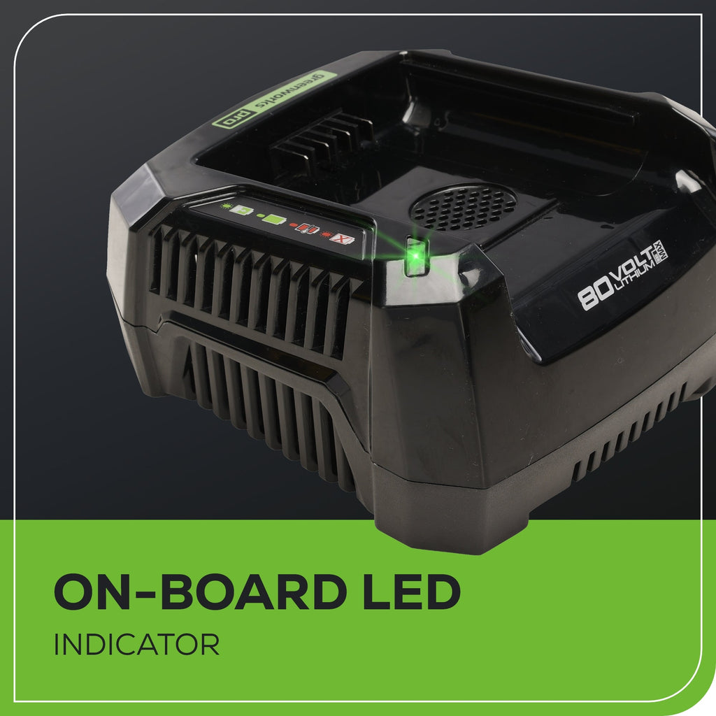 RENEWED 80V 6A Battery Charger