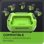 60V 3A Standard Charger
