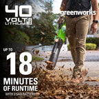40V 500 CFM Cordless Battery Leaf Blower: 2.5 Ah Battery and Charger