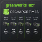 80V 4A Rapid Battery Charger